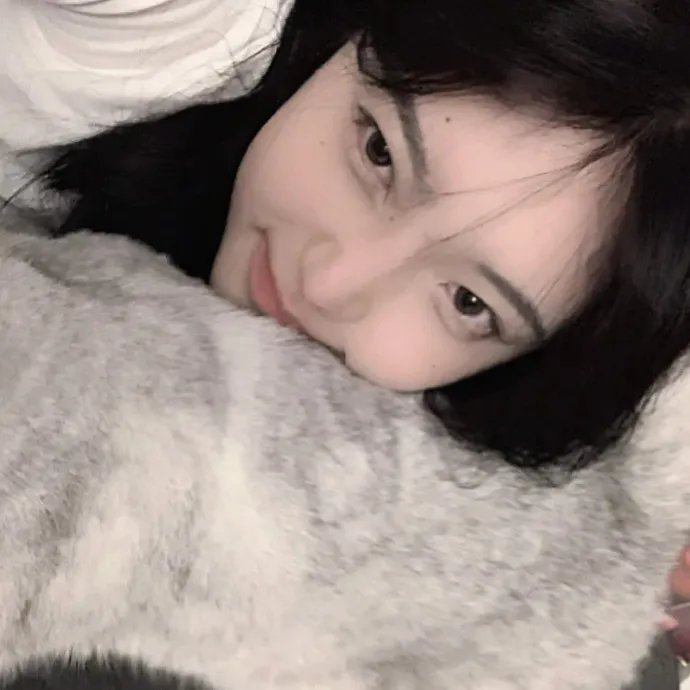 圣殿骑士的宝藏